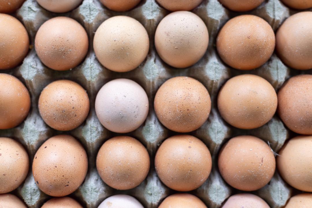 The Essential Amino Acids in Eggs: Why It's a Complete Protein Source