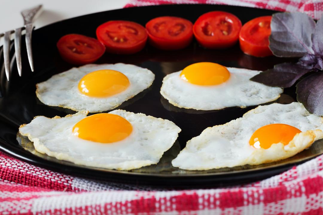 The Role of Eggs in Muscle Building and Recovery by Wellify Times